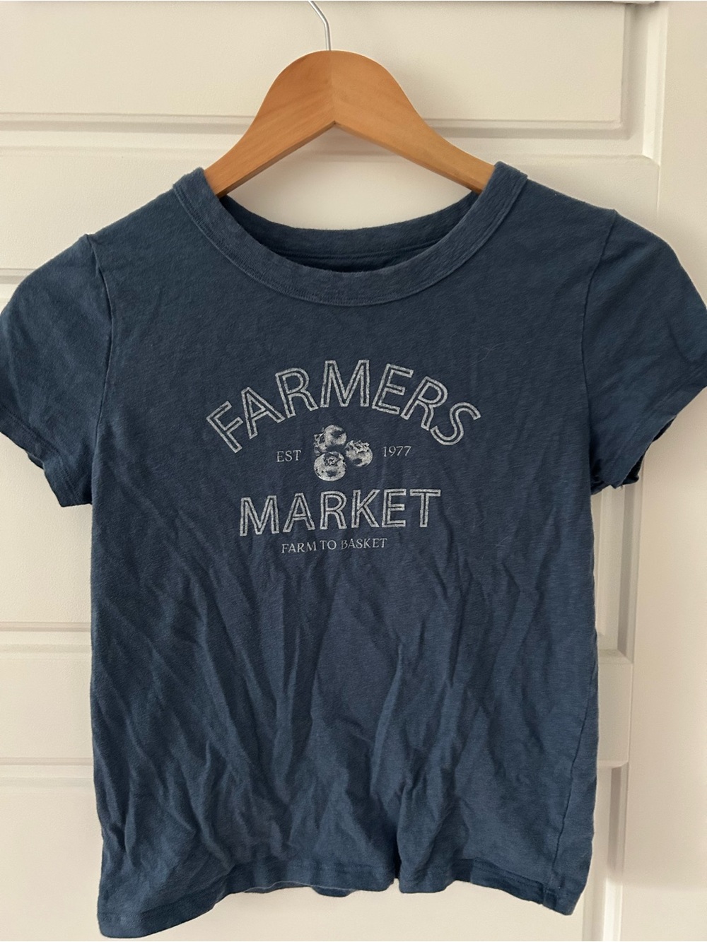 American Eagle Outfitters Blue 'Farmers Market' Graphic Tee